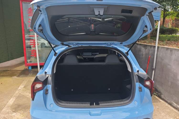 Used Geometry E Firefly 2022 401 km Linglong Tiger 4 Seats Trunk