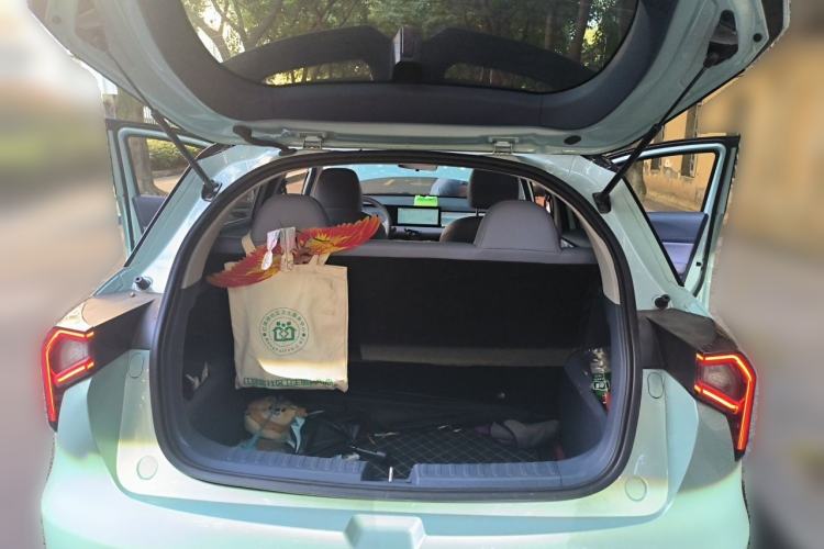 Used Geometry E Firefly 2022 401KM Lightning Tiger 4-Seater Trunk