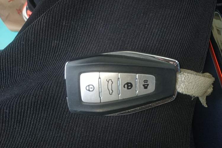 Used Geometry E Firefly 2022 401 km Linglong Tiger 4 Seats Vehicle Key