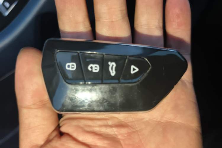Used Geometry E Firefly 2022 401KM Lightning Tiger 4-Seater Vehicle Key