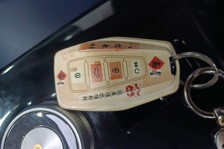 Used Geometry E Firefly 2022 401 km Linglong Tiger 4 Seats Vehicle Key