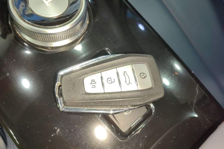 Used Geometry E Firefly 2022 401 km Linglong Tiger 4 Seats Vehicle Key