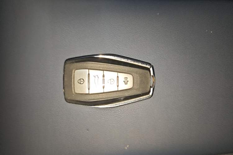Used Geometry E Firefly 2022 401 km Linglong Tiger 5 Seats Vehicle Key