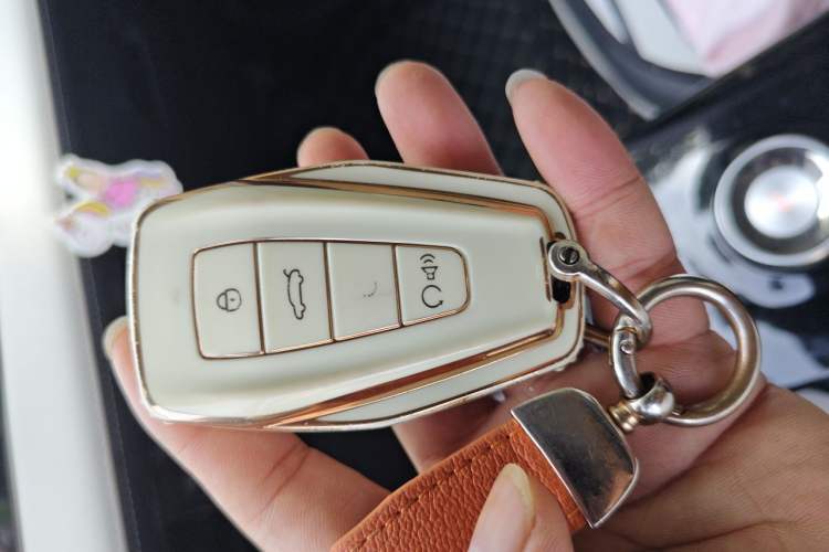 Used Geometry E Firefly 2022 401 km Linglong Tiger 4 Seats Vehicle Key