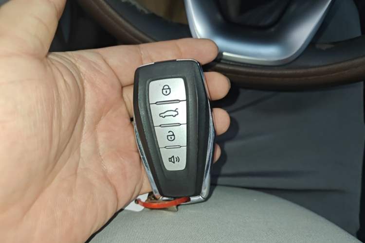 Used Geometry E Firefly 2022 401 km Linglong Tiger 4 Seats Vehicle Key