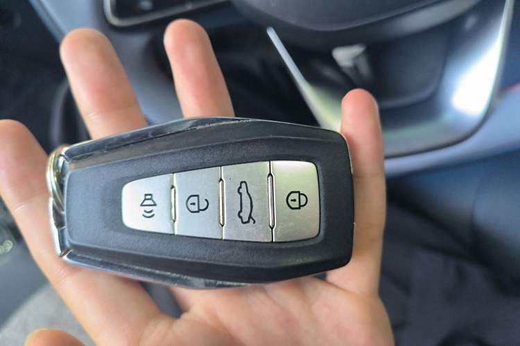 Used Geometry E Firefly 2022 401KM Lightning Tiger 4-Seater Vehicle Key
