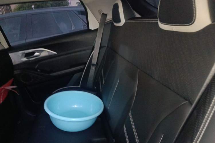Used Geometry E Firefly 2022 401 km Linglong Tiger 4 Seats Left Rear Seat
