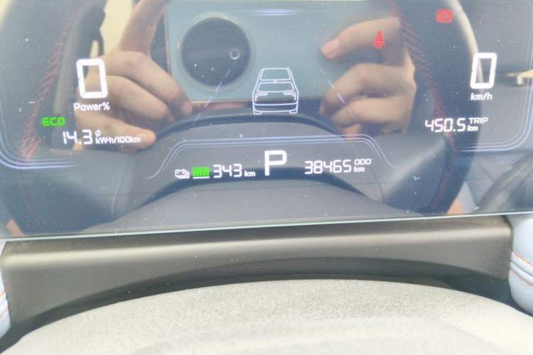 Used Geometry E Firefly 2022 401 km Linglong Tiger 4 Seats Odometer Close Up