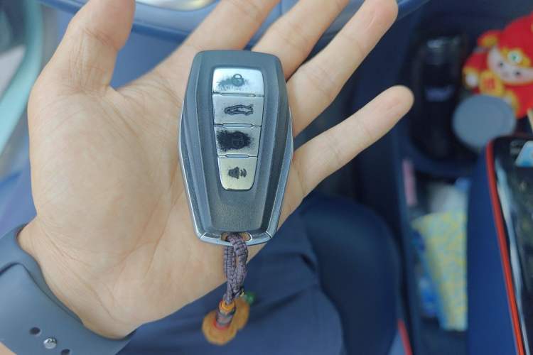 Used Geometry E Firefly 2022 401KM Lightning Tiger 4-Seater Vehicle Key