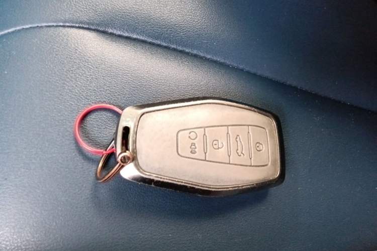 Used Geometry E Firefly 2022 401 km Linglong Tiger 4 Seats Vehicle Key