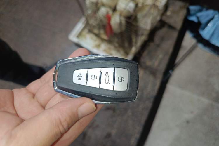 Used Geometry E Firefly 2022 401 km Linglong Tiger 4 Seats Vehicle Key
