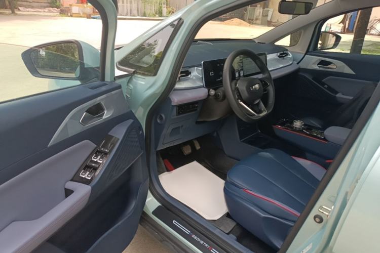 Used Geometry E Firefly 2022 401 km Linglong Tiger 5 Seats Driver Seat