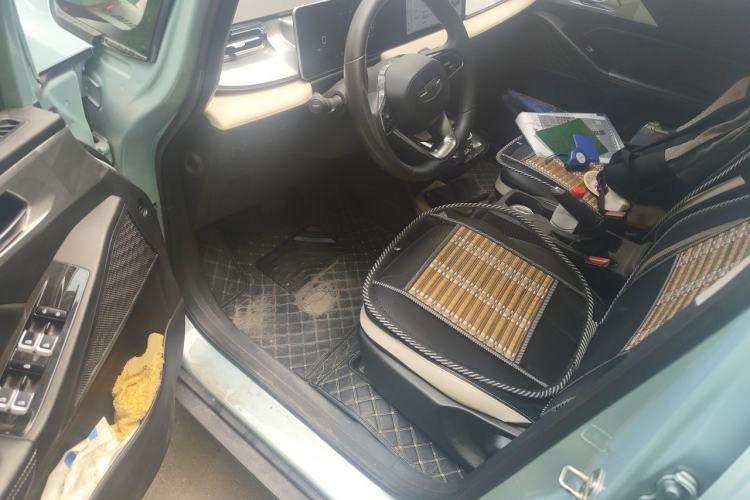 Used Geometry E Firefly 2022 320KM Cute Tiger 4-Seater Driver Seat