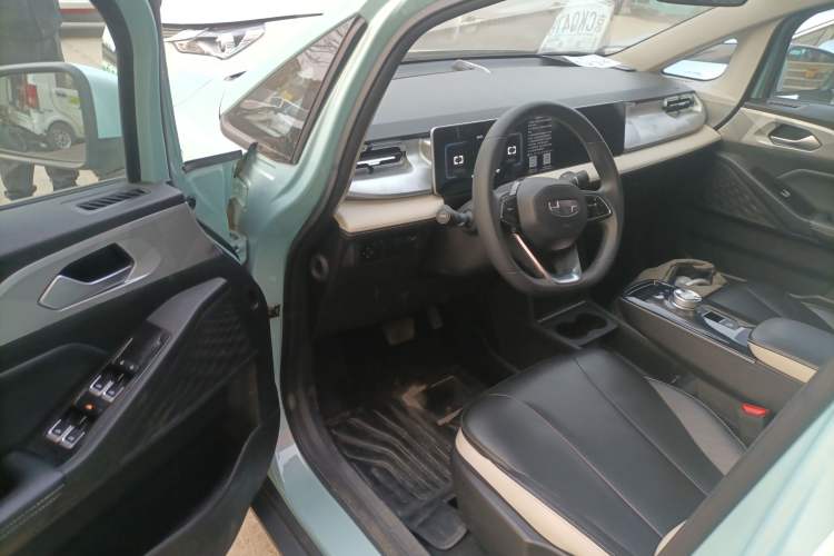 Used Geometry E Firefly 2022 401 km Linglong Tiger 4 Seats Driver Seat