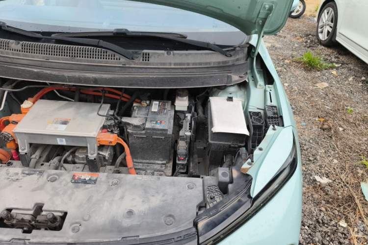 Used Geometry E Firefly 2022 401KM Lightning Tiger 5-Seater Engine Bay Left