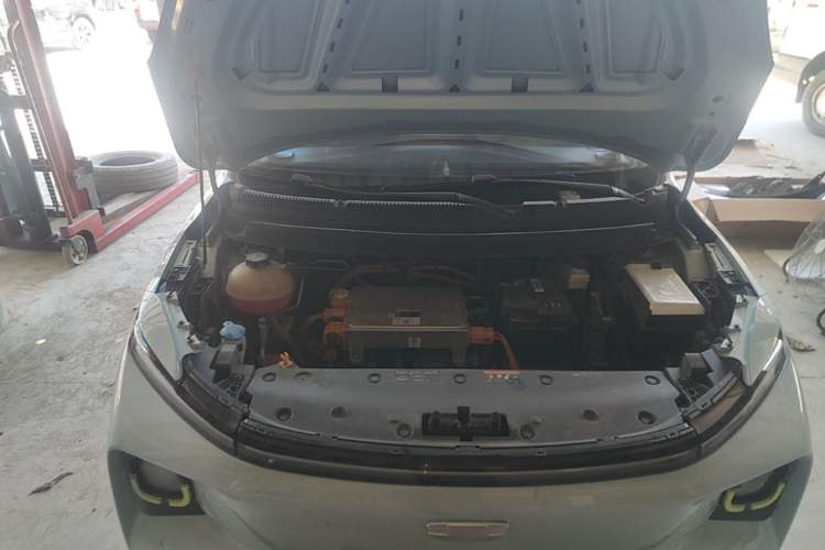Used Geometry E Firefly 2022 401 km Linglong Tiger 4 Seats Engine Bay