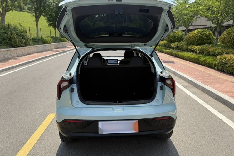 Used Geometry E Firefly 2022 320KM Cute Tiger 4-Seater Exterior 4