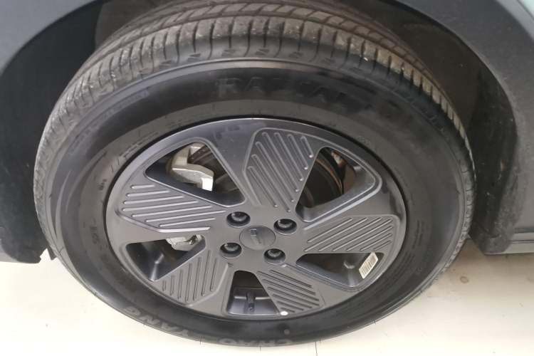 Used Geometry E Firefly 2022 401KM Lightning Tiger 4-Seater Exterior 7