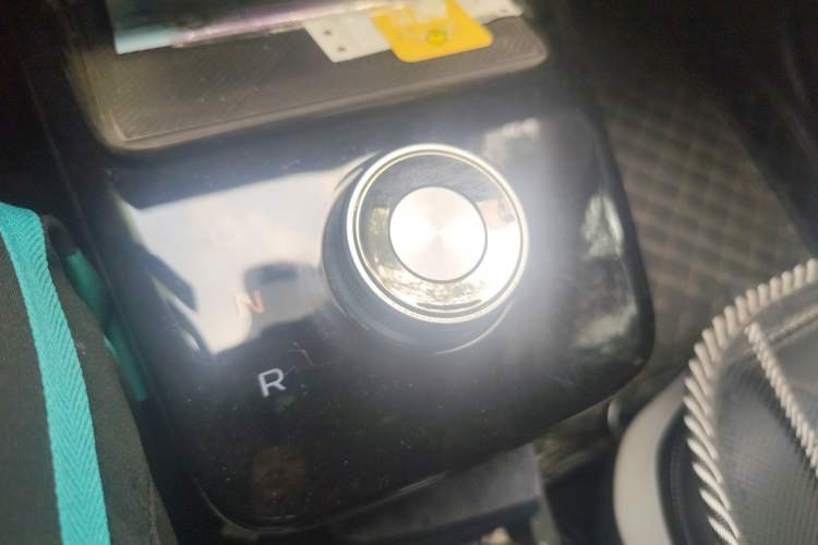 Used Geometry E Firefly 2022 320KM Cute Tiger 4-Seater Gear Lever