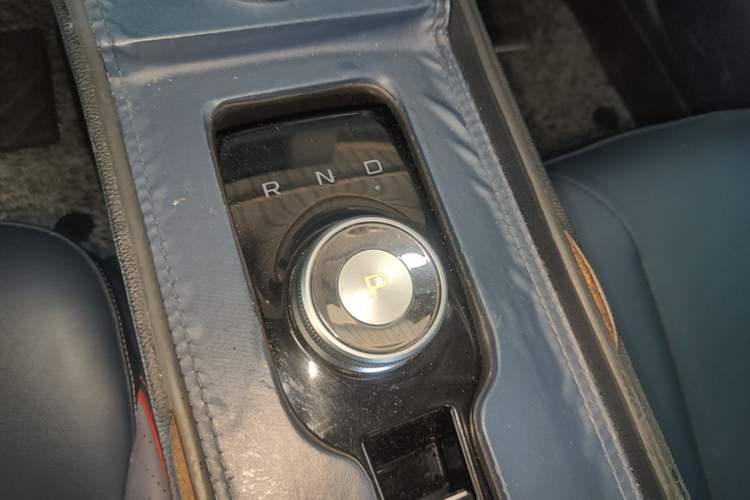 Used Geometry E Firefly 2022 401 km Linglong Tiger 4 Seats Gear Lever