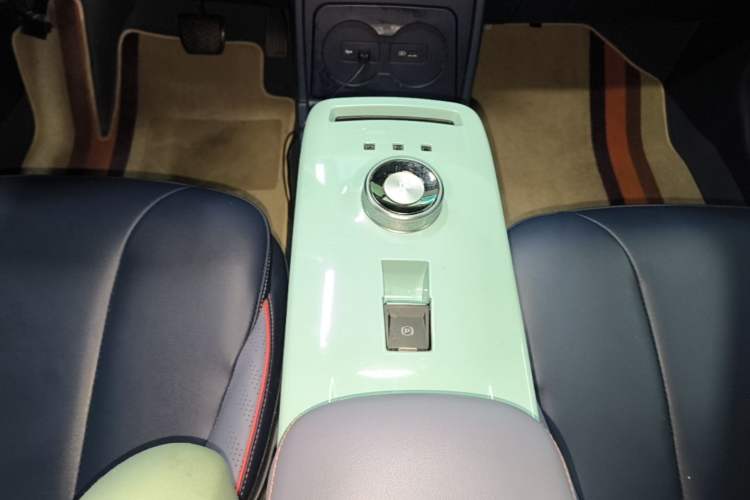 Used Geometry E Firefly 2022 401KM Lightning Tiger 4-Seater Gear Lever