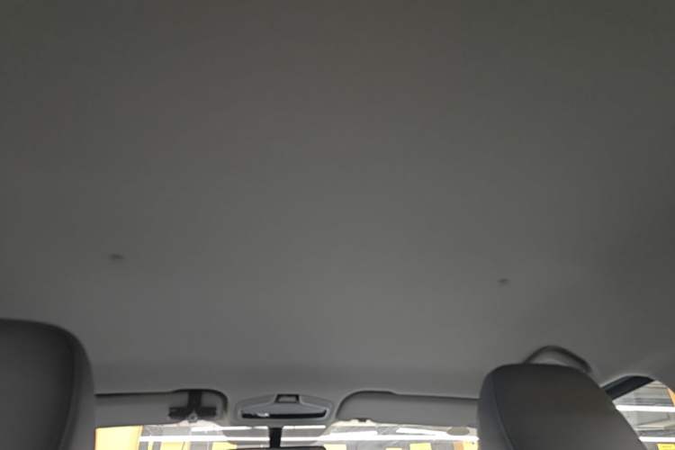 Used Geometry E Firefly 2022 320KM Cute Tiger 4-Seater Headliner