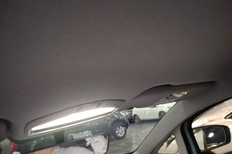 Used Geometry E Firefly 2022 320KM Cute Tiger 4-Seater Headliner