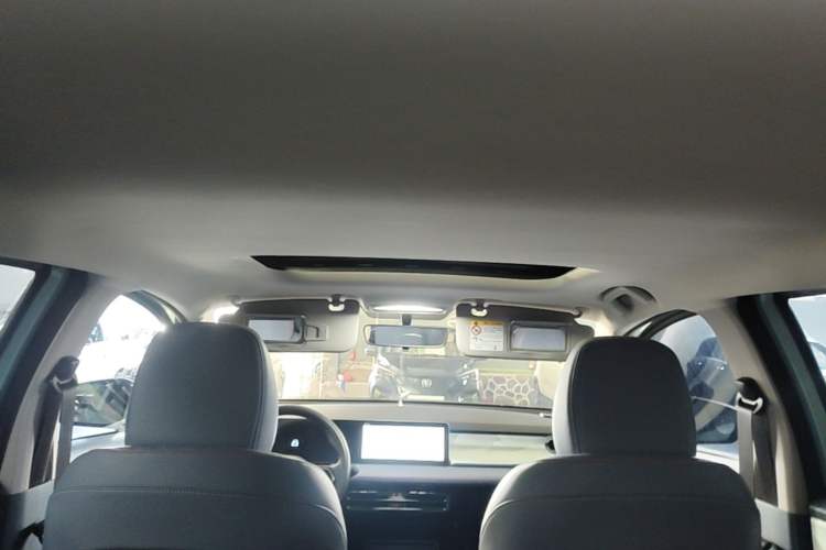Used Geometry E Firefly 2022 401 km Linglong Tiger 5 Seats Headliner