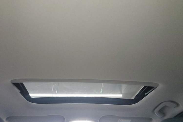 Used Geometry E Firefly 2022 401 km Linglong Tiger 4 Seats Headliner