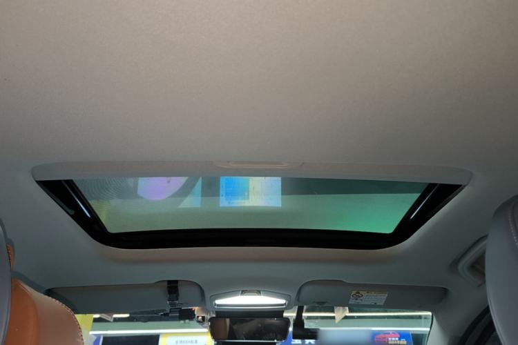 Used Geometry E Firefly 2022 401KM Lightning Tiger 4-Seater Headliner