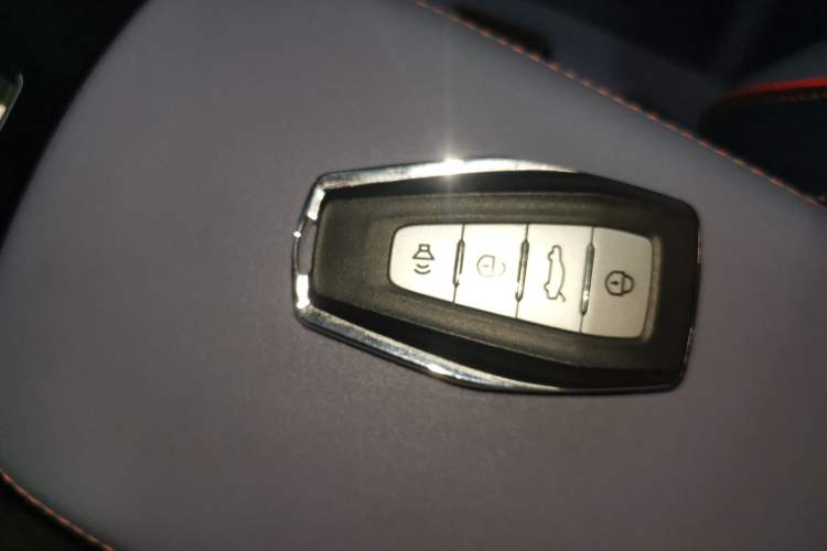 Used Geometry E Firefly 2022 401KM Lightning Tiger 4-Seater Interior 1
