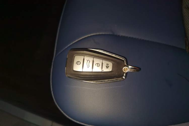 Used Geometry E Firefly 2022 320KM Cute Tiger 4-Seater Interior 1