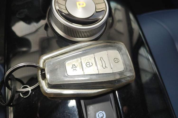 Used Geometry E Firefly 2022 401 km Linglong Tiger 5 Seats Interior 1