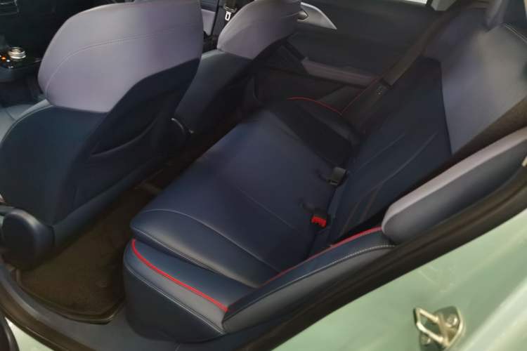 Used Geometry E Firefly 2022 320KM Cute Tiger 4-Seater Interior 3