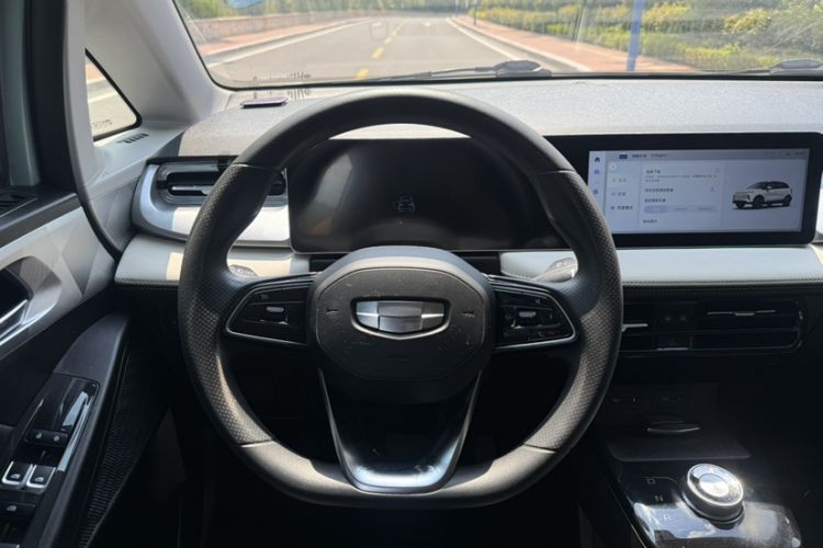 Used Geometry E Firefly 2022 320KM Cute Tiger 4-Seater Interior 3
