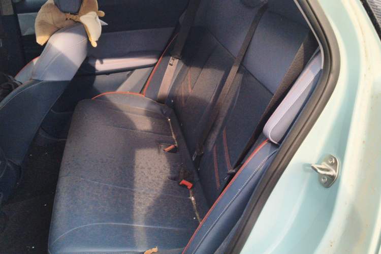 Used Geometry E Firefly 2022 401 km Linglong Tiger 5 Seats Interior 4