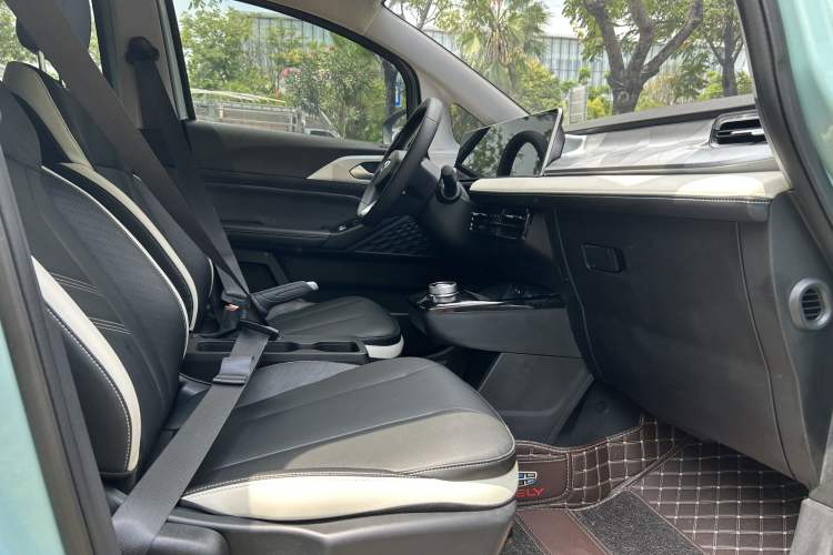 Used Geometry E Firefly 2022 320KM Cute Tiger 4-Seater Interior 4