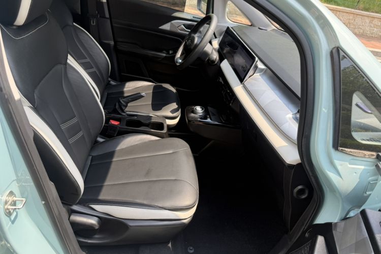 Used Geometry E Firefly 2022 320KM Cute Tiger 4-Seater Interior 5