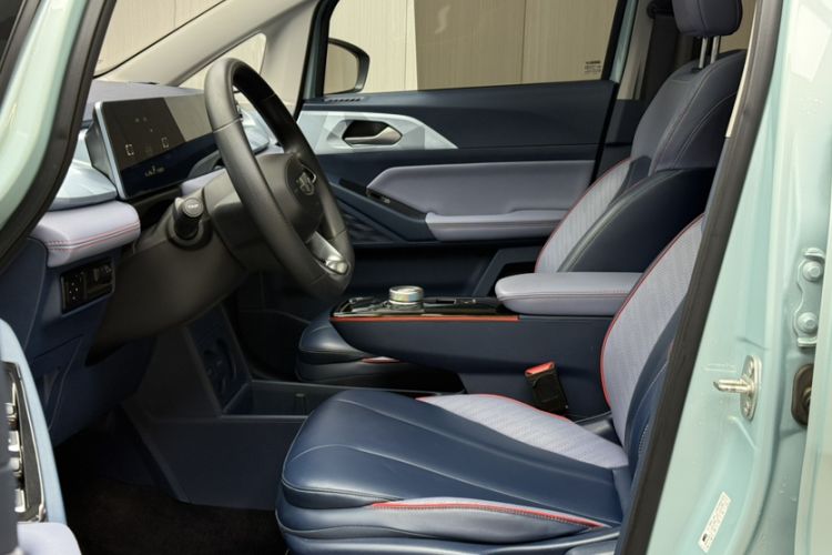 Used Geometry E Firefly 2022 401 km Linglong Tiger 4 Seats Interior 6