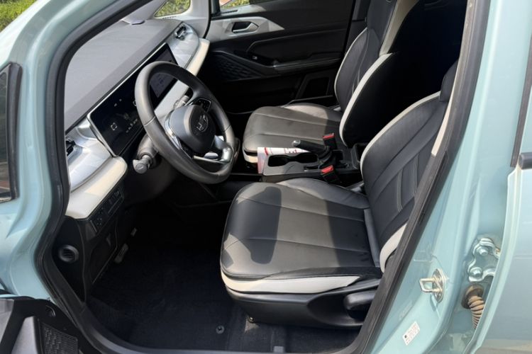 Used Geometry E Firefly 2022 320KM Cute Tiger 4-Seater Interior 6