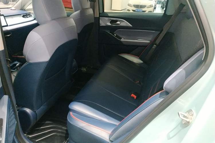 Used Geometry E Firefly 2022 401 km Linglong Tiger 4 Seats Left Front Seat