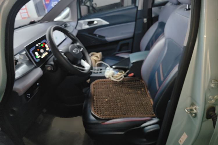 Used Geometry E Firefly 2022 320KM Cute Tiger 4-Seater Left Front Seat