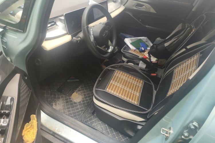 Used Geometry E Firefly 2022 320KM Cute Tiger 4-Seater Left Front Seat
