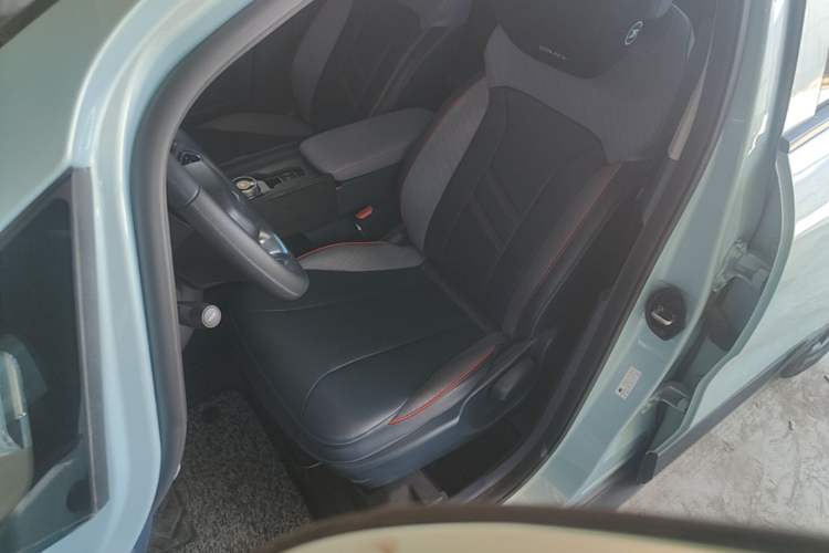 Used Geometry E Firefly 2022 401 km Linglong Tiger 4 Seats Left Front Seat