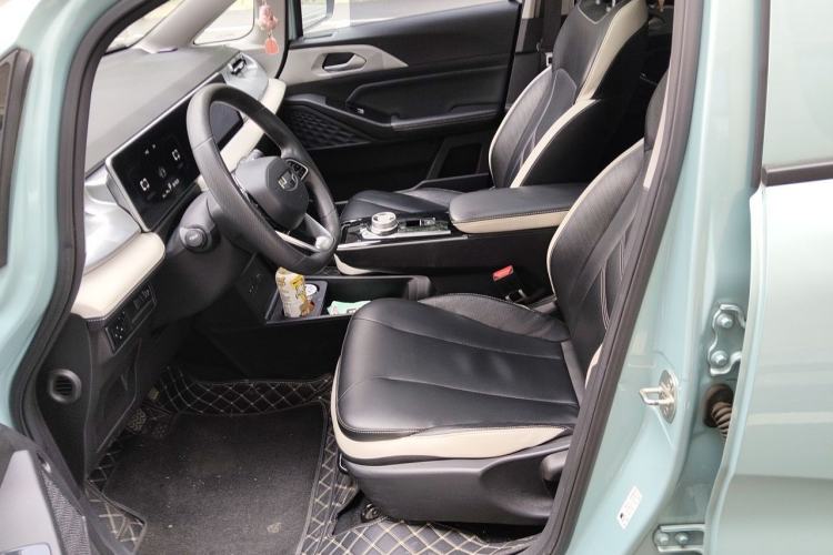 Used Geometry E Firefly 2022 401 km Linglong Tiger 5 Seats Left Front Seat