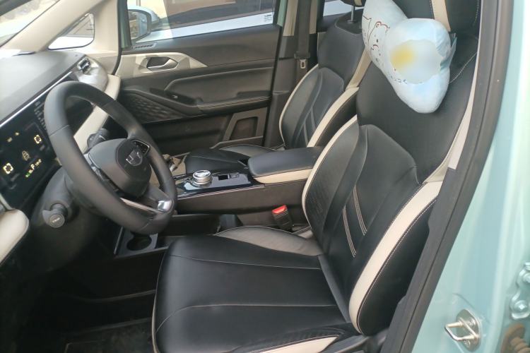 Used Geometry E Firefly 2022 401 km Linglong Tiger 4 Seats Left Front Seat