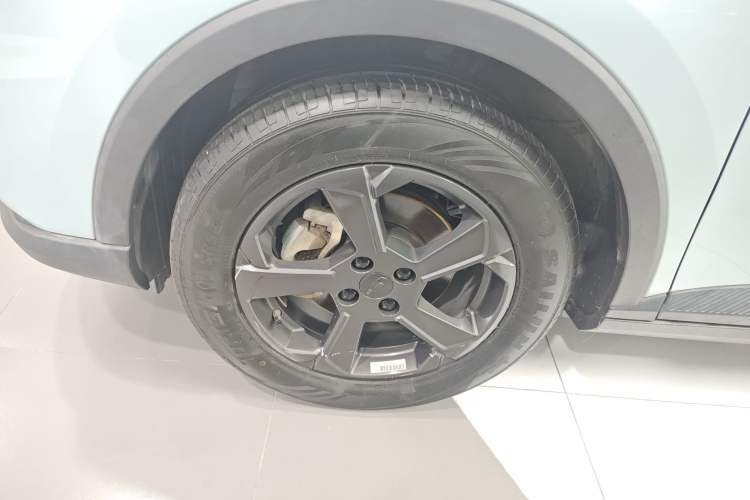 Used Geometry E Firefly 2022 401 km Linglong Tiger 4 Seats Left Front Wheel Hub