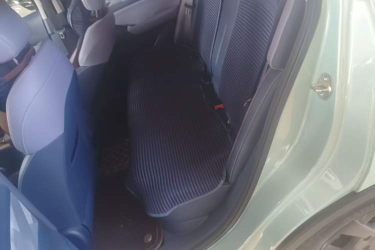 Used Geometry E Firefly 2022 401 km Linglong Tiger 5 Seats Left Rear Seat