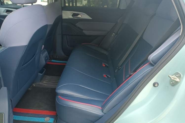 Used Geometry E Firefly 2022 401 km Linglong Tiger 5 Seats Left Rear Seat