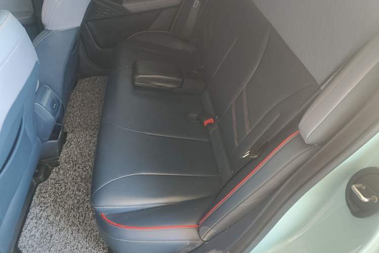 Used Geometry E Firefly 2022 401 km Linglong Tiger 4 Seats Left Rear Seat